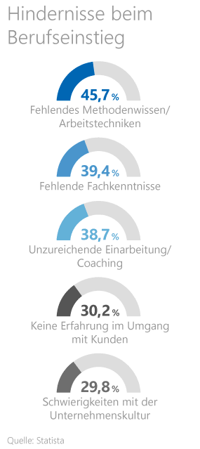 Mein erster Job Grafik: Hindernisse beim Berufseinstieg